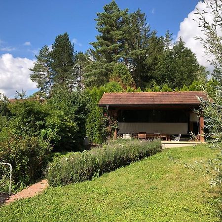 Maison/Gite Familial Dans Le Jura A 200M Du Lac Avec Piscine Privee Marigny  外观 照片
