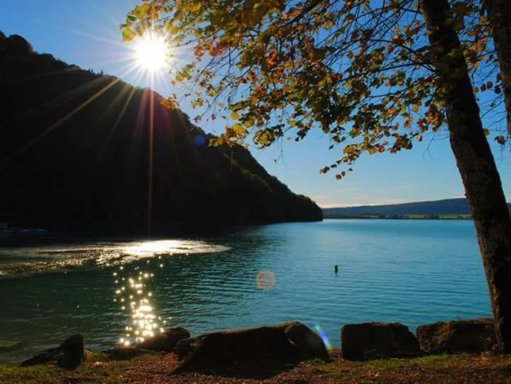 Maison/Gite Familial Dans Le Jura A 200M Du Lac Avec Piscine Privee Marigny  外观 照片