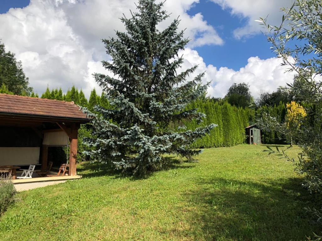 Maison/Gite Familial Dans Le Jura A 200M Du Lac Avec Piscine Privee Marigny  外观 照片