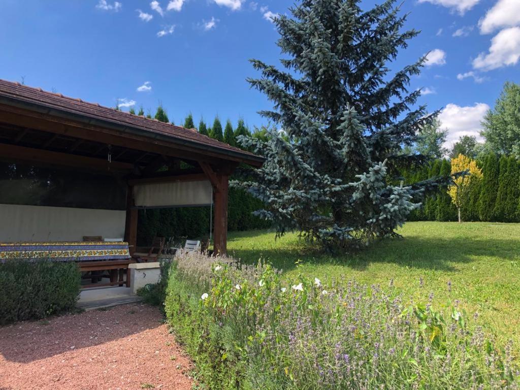Maison/Gite Familial Dans Le Jura A 200M Du Lac Avec Piscine Privee Marigny  外观 照片