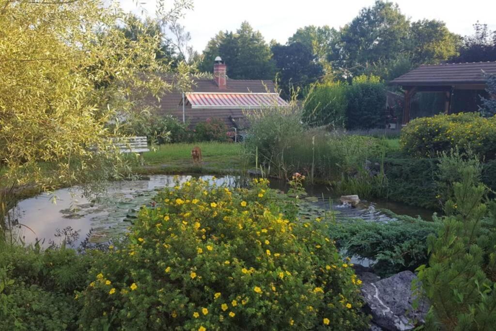 Maison/Gite Familial Dans Le Jura A 200M Du Lac Avec Piscine Privee Marigny  外观 照片
