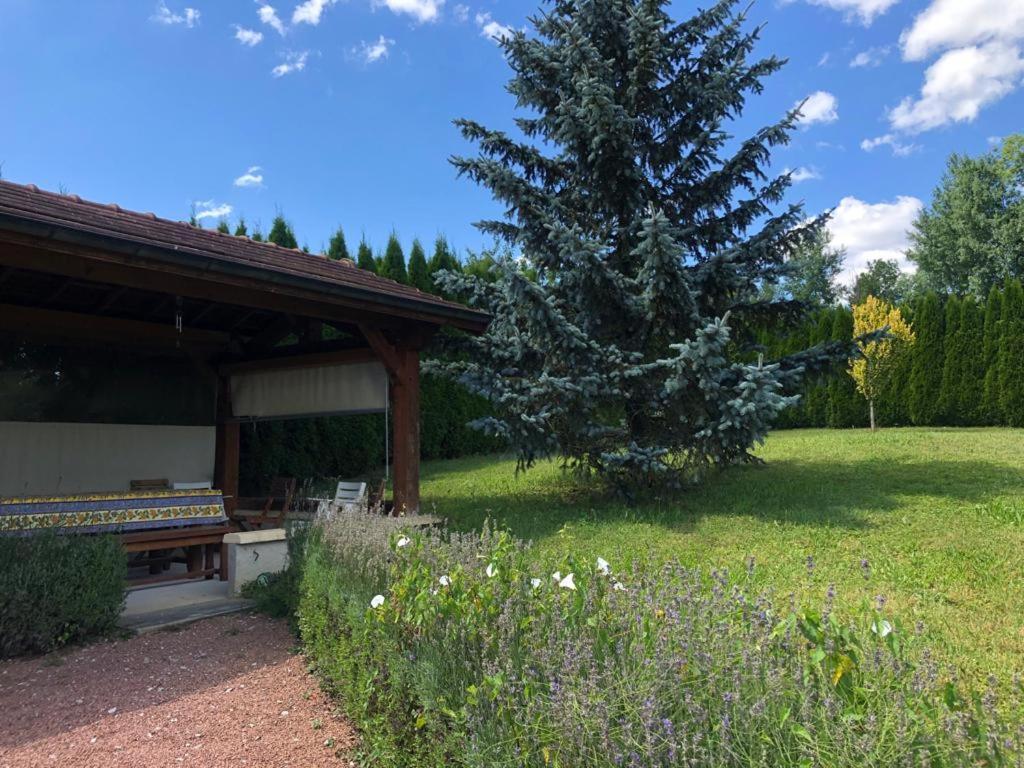 Maison/Gite Familial Dans Le Jura A 200M Du Lac Avec Piscine Privee Marigny  外观 照片