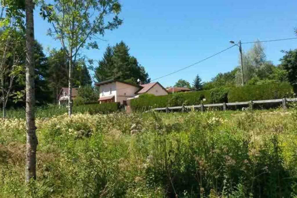 Maison/Gite Familial Dans Le Jura A 200M Du Lac Avec Piscine Privee Marigny  外观 照片