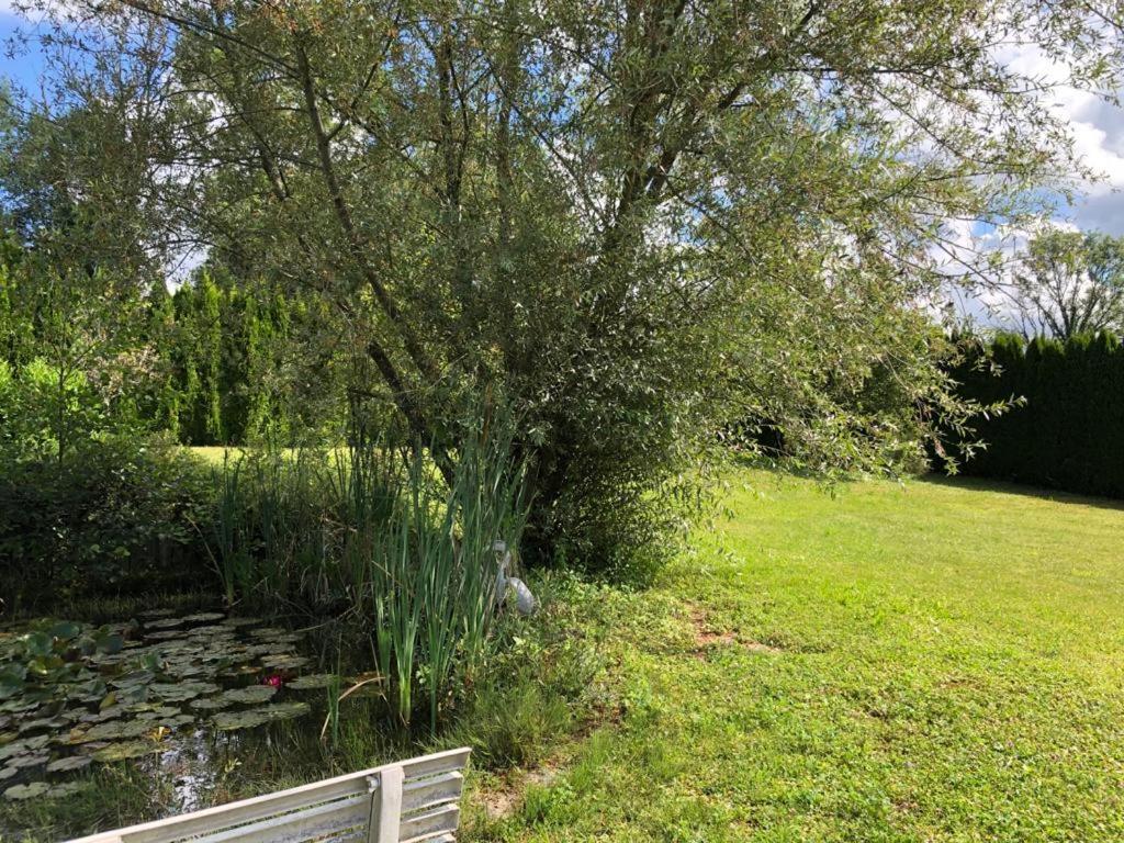 Maison/Gite Familial Dans Le Jura A 200M Du Lac Avec Piscine Privee Marigny  外观 照片