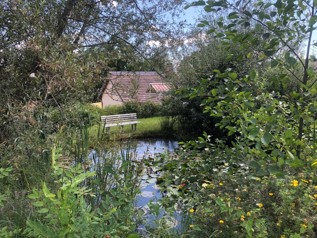 Maison/Gite Familial Dans Le Jura A 200M Du Lac Avec Piscine Privee Marigny  外观 照片